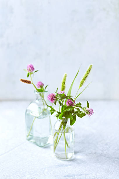 istock Red clover flowers in glass bottles 1159786373