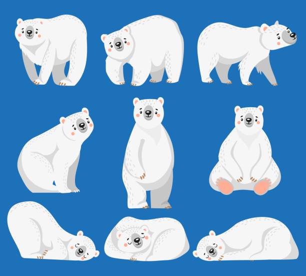 мультфильм белый медведь. белые медведи, арктическое дикое животное и снежный медведь изолированные векторные иллюстрации - polar bear young animal isolated cub stock illustrations