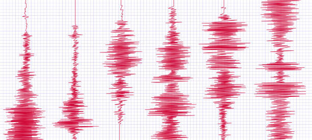 Seismogram earthquake graph. Oscilloscope waves, seismograms waveform and seismic activity graphs vector illustration Seismogram earthquake graph. Oscilloscope waves, seismograms waveform and seismic activity graphs. Disaster monitoring wave, seismicity detector or seismological curves geology vector illustration seismology stock illustrations