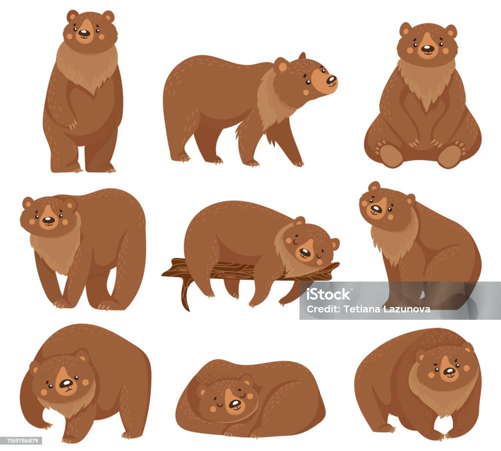 Cartoon Brown Bear Grizzly Bears Wild Nature Forest Predator Animals And  Sitting Bear Isolated Vector Illustration Stock Illustration - Download  Image Now - iStock