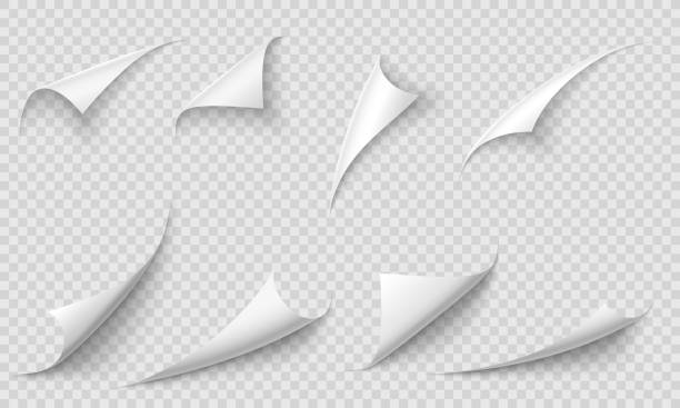 zvlněný roh stránky. okraje papíru, rohy stran křivek a zvlněné papíry s realistickou sadou stínových vektorových ilustrací - ohraničení složení stock ilustrace