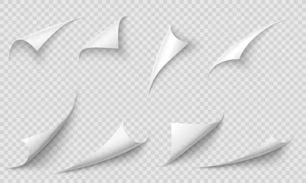 Vector illustration of Curled page corner. Paper edges, curve pages corners and papers curls with realistic shadow vector illustration set