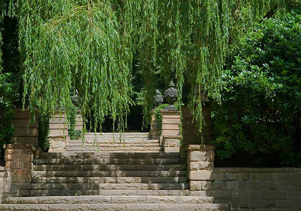 Huge trees, clouds and stairs - Looks like a park, but is German graveyard- \