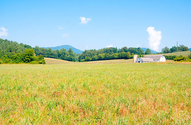 istock Farmhouse on a Meadow 115978994