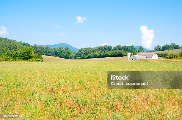 Foto de Fazenda Em Um Prado e mais fotos de stock de Casa - Casa, Cena Rural, Carolina do Norte - Estado dos EUA