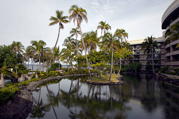 istock Hawaiian Resort Hotel 115979164
