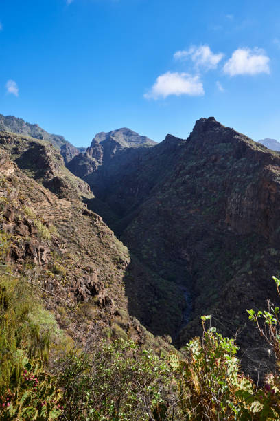 istock Barranco del Infierno(Hell's Gorge), Tenerife, Canary Islands 1159791752