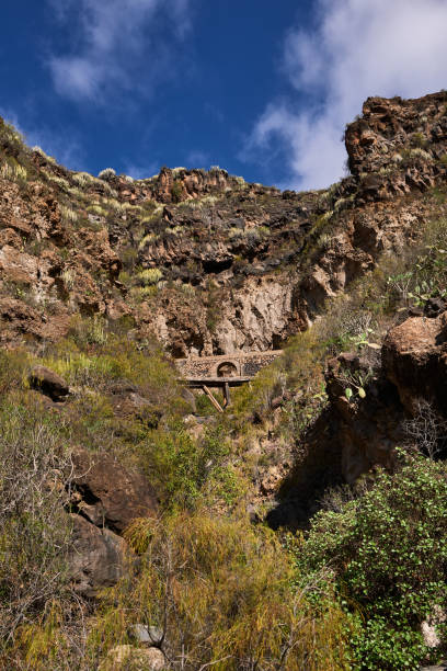 istock Barranco del Infierno(Hell's Gorge), Tenerife, Canary Islands 1159791785