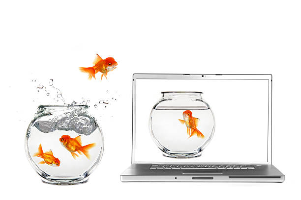 istock Jumping into a Fantasy World 115979374