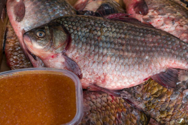istock River, lake raw fish in scales carp,  crucian 1159796273