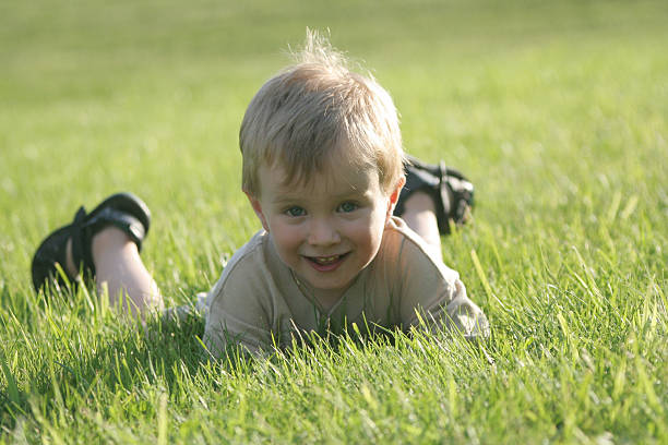 lying on the grass stock photo