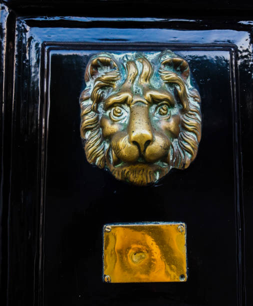 istock Bronze Lion on a Black Door 1159796616