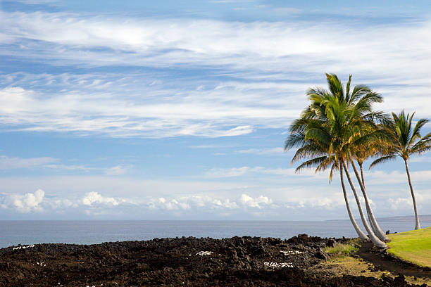 istock Hawaii Pacific Coast of Kona Island 115979696
