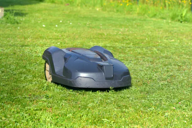 robotic lawnmower on the grass in garden