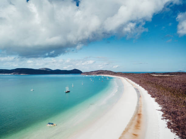 istock whitsunday beach with a boat 1159797944