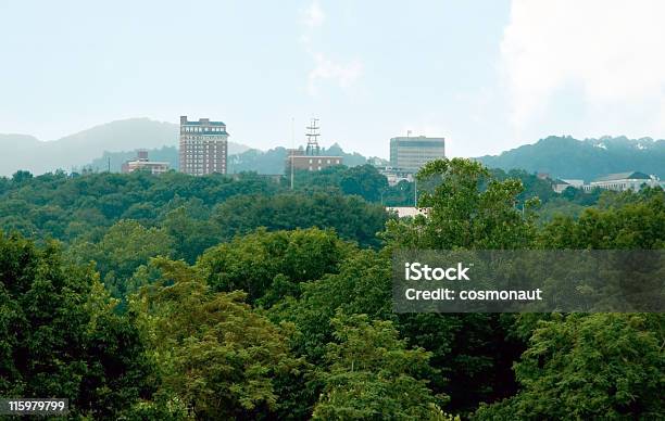 Asheville W Północnej Karolinie Skyline - zdjęcia stockowe i więcej obrazów Asheville - Asheville, Panorama miasta, Stan Karolina Północna