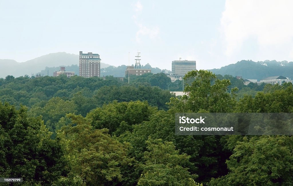 Horizonte de Asheville, Carolina do Norte - Foto de stock de Asheville royalty-free