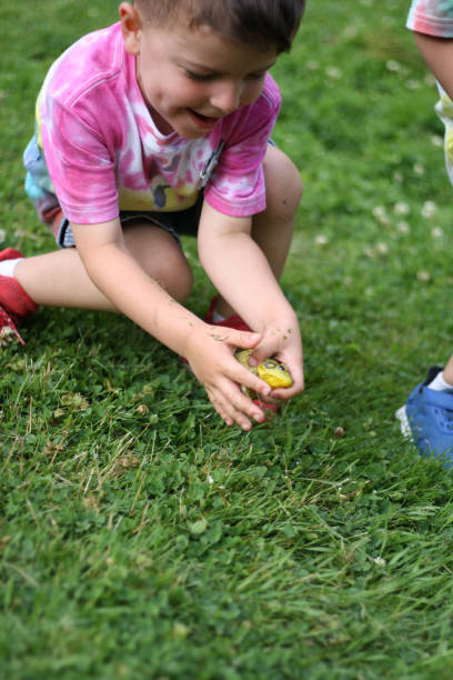 istock Young boy catches a frog in the grass 1159798867