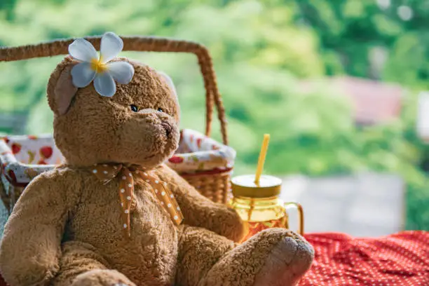 Photo of Teddy bear sitting with picnic basket