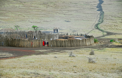 Maasai kraal