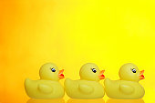 three little ducks