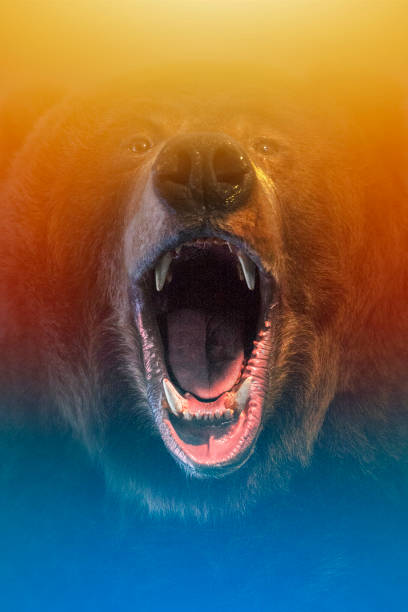 Colorful beast opened mouth. stock photo