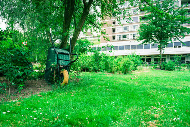 Wheelbarrow in English country garden in summer