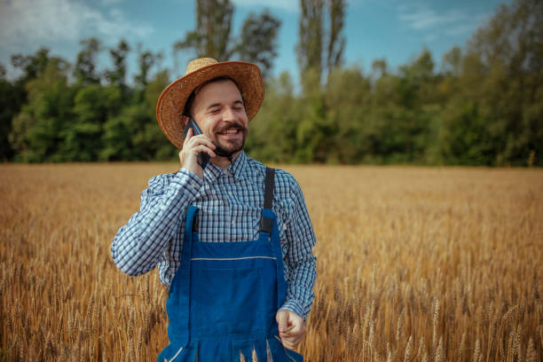 istock Farmer control his wheat cultivation field. 1159804058