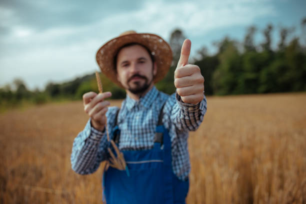 istock Farmer control his wheat cultivation field. 1159807887