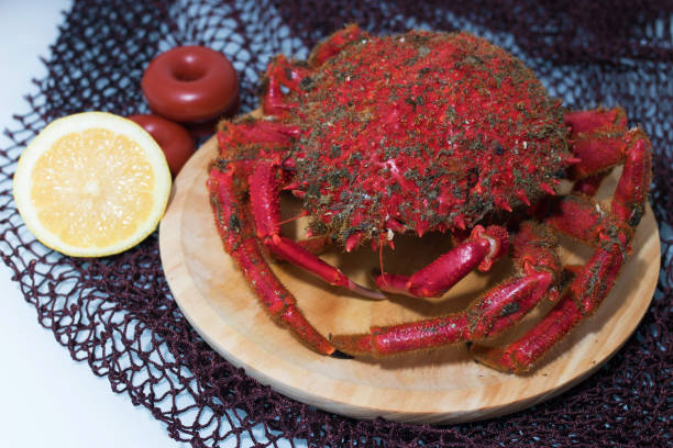 istock galician crab from the estuary, wild fresh seafood 1159808067
