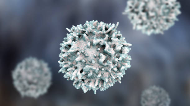 림프구, t 세포 또는 b 세포의 클로즈업 보기 - t세포 뉴스 사진 이미지