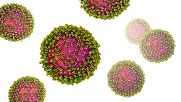 Measles viruses. 3D illustration showing structure of measles virus with surface glycoprotein spikes heamagglutinin-neuraminidase and fusion protein