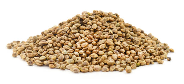 istock Pile of hemp seeds.heap 1159811495