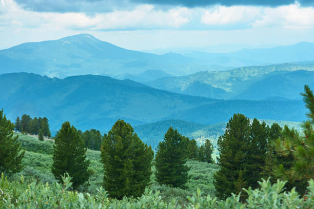 istock The ridge of mountains covered with forest is under a cloudy sky. 1159813589