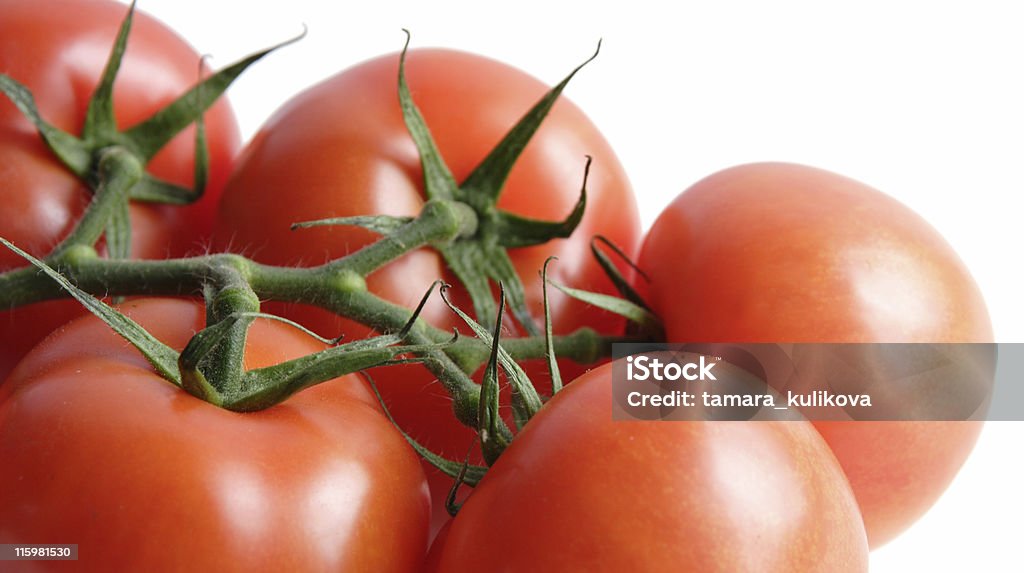 Tomates frescos na vine - Foto de stock de Agricultura royalty-free