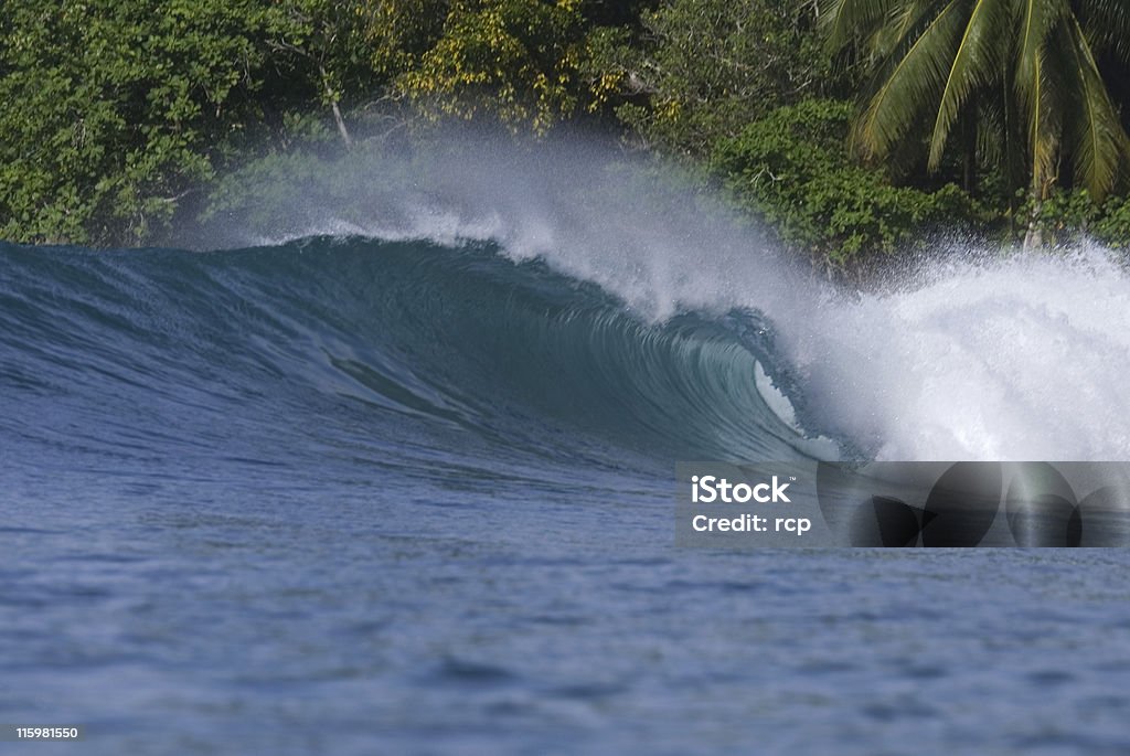 Tropische Wave - Lizenzfrei Big Island - Insel Hawaii Stock-Foto
