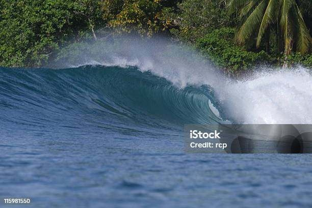 Onda Tropical Foto de stock y más banco de imágenes de Agua - Agua, Aire libre, Clima tropical