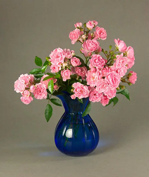 A bouquet of Mossroses in a blue vase