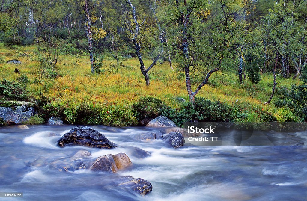 Herbst creek - Lizenzfrei Aussicht genießen Stock-Foto