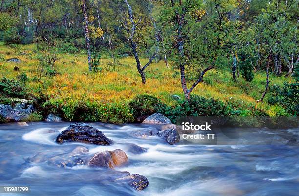 Herbst Creek Stockfoto und mehr Bilder von Aussicht genießen - Aussicht genießen, Bach, Baum