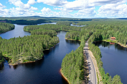 Paisaje forestal y lacudo en Dalarna, Suecia photo