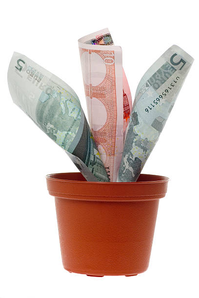 istock Euro money plant 115982249