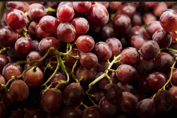 frische rote trauben - grape red grape red farmers market stock-fotos und bilder
