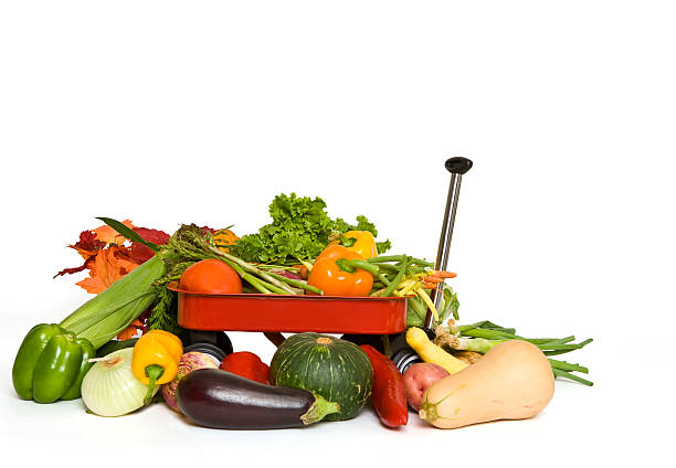 Wagonful of Vegetables stock photo