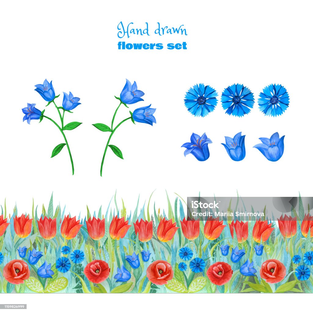 Ilustración de Conjunto De Flores Azules Y Rojas Amapolas Tulipanes  Campanas Azules Flores De Maíz Borde Floral Sin Costuras y más Vectores  Libres de Derechos de Abstracto - iStock