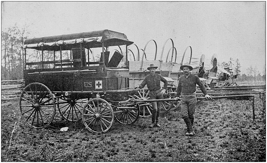 US Army black and white photos: Hospital patrol and supply wagons