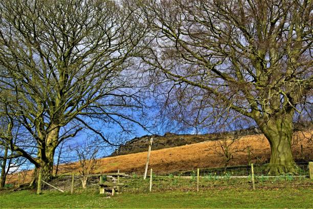 istock Picturesque pathway to Bamford Edge, Derbyshire 1159837841