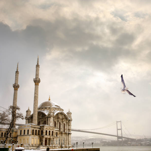 istock Istanbul Bosphorus view with Bosphorus bridge and Ortakoy Mosque 1159839272