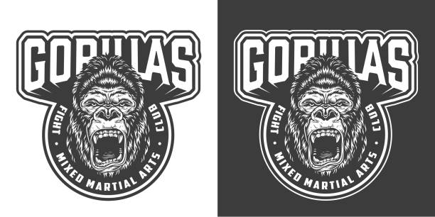 Vintage mixed martial arts label Vintage mixed martial arts label with angry gorilla head in monochrome style isolated vector illustration wrestling logo stock illustrations