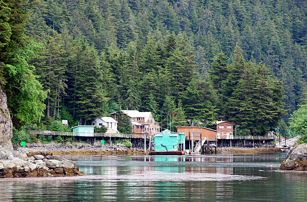 istock Elfin Cove, Alaska 115984333